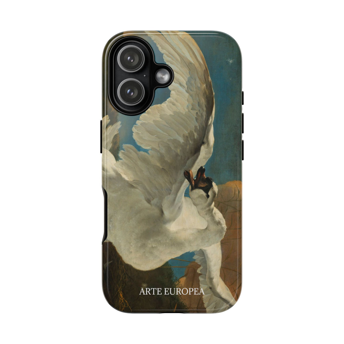 The Threatened Swan — Jan Asselijn